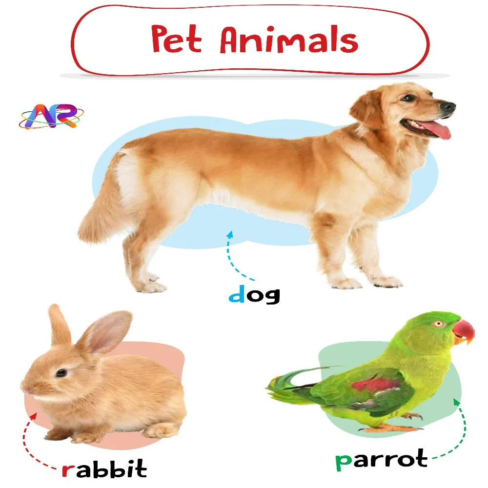 My Ar Book of Animals